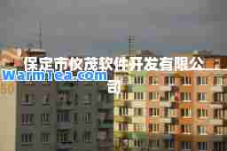 保定市仪茂软件开发有限公司