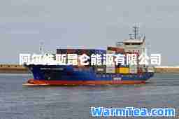 阿尔维斯昆仑能源有限公司