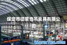 保定市德莱奇吊索具有限公司