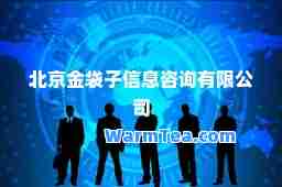 北京金袋子信息咨询有限公司