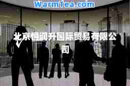 北京恒润升贸易有限公司