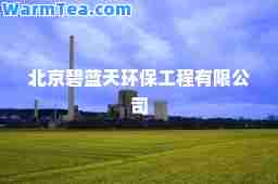 北京碧蓝天环保工程有限公司