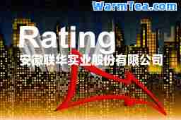 安徽联华实业股份有限公司