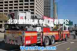 北京国服信汽车贸易有限公司