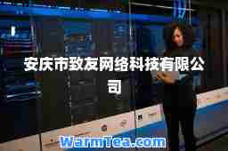安庆市致友网络科技有限公司