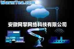 安徽网擎网络科技有限公司