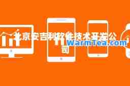 北京安吉利软件技术开发公司