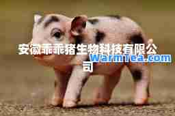 安徽乖乖猪生物科技有限公司
