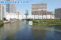 安徽华辰造纸网股份有限公司