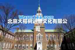 北京大榕树远景文化有限公司