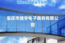 安庆市倩宇电子商务有限公司