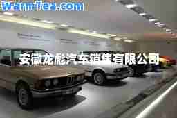 安徽龙彪汽车销售有限公司