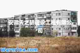 安徽天之骄建设工程有限公司