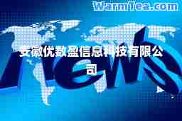 安徽优数盈信息科技有限公司