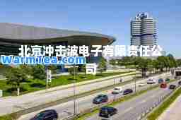 北京冲击波电子有限责任公司