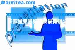 安徽星梦园科技发展有限公司