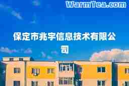 保定市兆宇信息技术有限公司