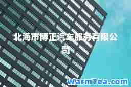 北海市博正汽车服务有限公司
