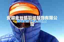 安徽金丝狐羽绒服饰有限公司