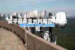 安平县来亚丝网制品有限公司