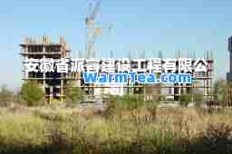 安徽省派睿建设工程有限公司