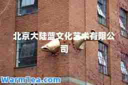 北京大陆蓝文化艺术有限公司