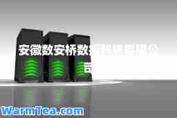 安徽数安桥数据科技有限公司