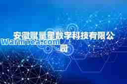 安徽赋量星数字科技有限公司