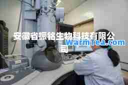 安徽省振铭生物科技有限公司
