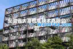 安徽省大富机电技术有限公司