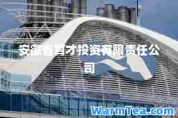 安徽省育才投资有限责任公司