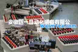 安徽巨一自动化装备有限公司