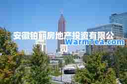 安徽铂丽房地产投资有限公司