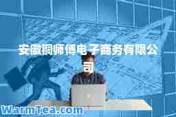 安徽铜师傅电子商务有限公司