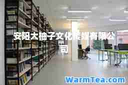 安阳大柚子文化传媒有限公司
