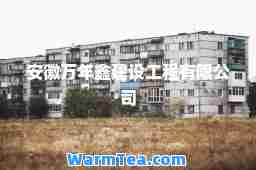 安徽万年鑫建设工程有限公司
