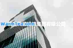 爱善天使投资集团有限公司
