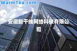安徽新干线网络科技有限公司