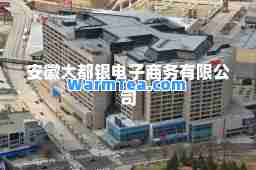 安徽大都银电子商务有限公司