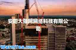 安阳大豫网网络科技有限公司
