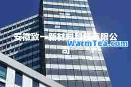 安徽致一新材料科技有限公司