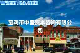 宝鸡市中盛资本咨询有限公司