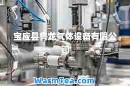 宝应县鲁龙气体设备有限公司