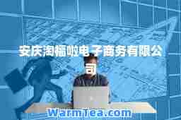 安庆淘福啦电子商务有限公司