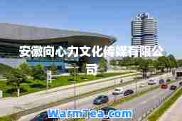 安徽向心力文化传媒有限公司