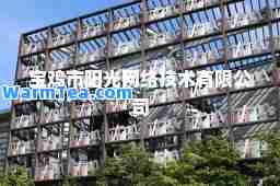 宝鸡市阳光网络技术有限公司