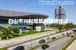 白山市兴利煤炭有限责任公司