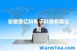 安徽恩亿科电子科技有限公司