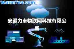 安徽力卓物联网科技有限公司