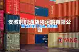 安徽时时通货物运输有限公司